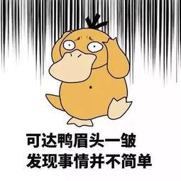 小新吃小呆瓜炒面视频,小呆瓜炒面视频趣味回顾