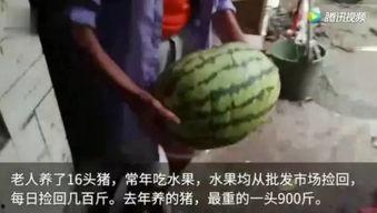 现在去哪里吃瓜视频,带你领略网络热点背后的故事