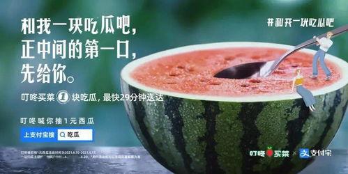 安阳吃瓜新闻视频,揭秘当地特色美食背后的故事