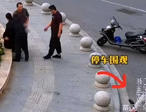 围观吃瓜被抓视频大全集,揭秘网络围观背后的法律与道德边界