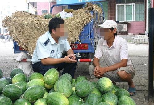 河南鲁山吃瓜事件视频,一场引发社会热议的街头冲突