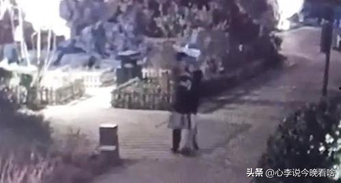 黑科技吃瓜事件视频,一场颠覆视觉的科技盛宴