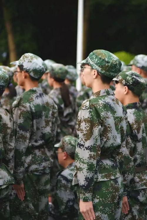 吃瓜军训视频在哪看,热门视频观看攻略