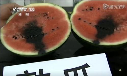 来吃菠萝哦吃瓜视频