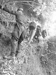 山崩地裂吃瓜群众视频在线观看,吃瓜群众现场直击