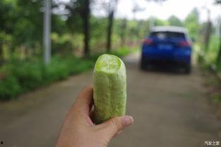 吃瓜不忘种瓜人的视频,揭秘幕后故事与成长历程