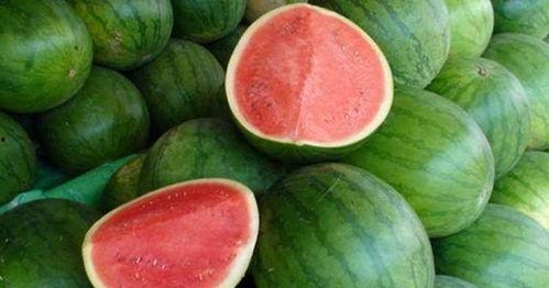 吃不得瓜的视频,揭秘“吃不得瓜”背后的真相与争议