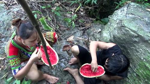 吃瓜视频野外生存,吃瓜视频带你探索生存奥秘
