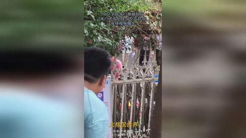 二姑吃瓜现场视频大全,趣味视频大盘点