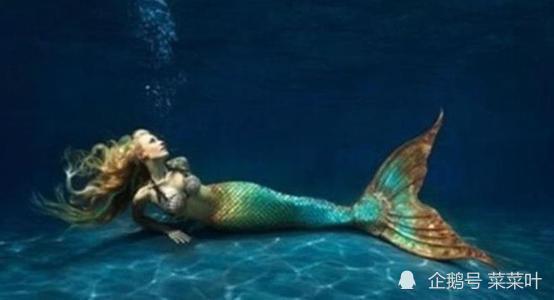 上海美人鱼吃瓜事件视频,网络热议的神秘视频揭秘