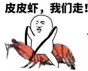 吃瓜视频群众看世界,吃瓜群众视角下的世界百态