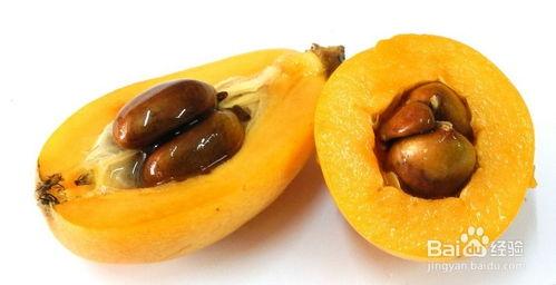 枇杷视频吃瓜专区,吃瓜专区，带你领略热门话题的趣味瞬间