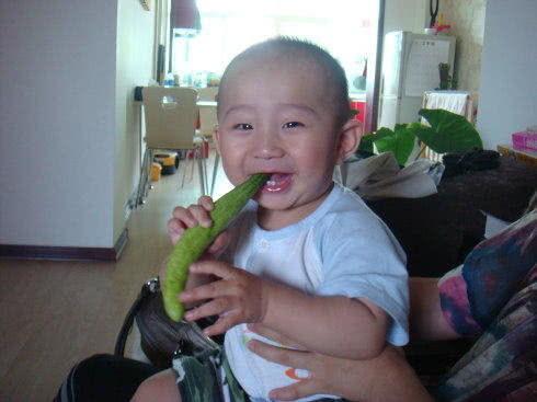 东北人台湾人吃瓜视频,趣味横生文化碰撞