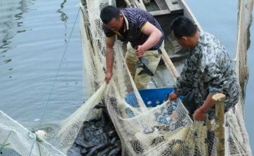 渔民看军演吃瓜视频,见证军演，共享和平盛宴