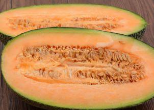 哈密瓜老人可以吃嘛视频,适合老年人的美味佳果