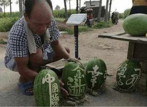 吴川网红吃瓜事件真相视频,真相视频曝光背后的真相