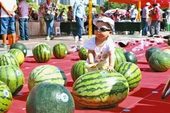 河南汝州吃瓜事件视频,一场引发热议的街头冲突瞬间